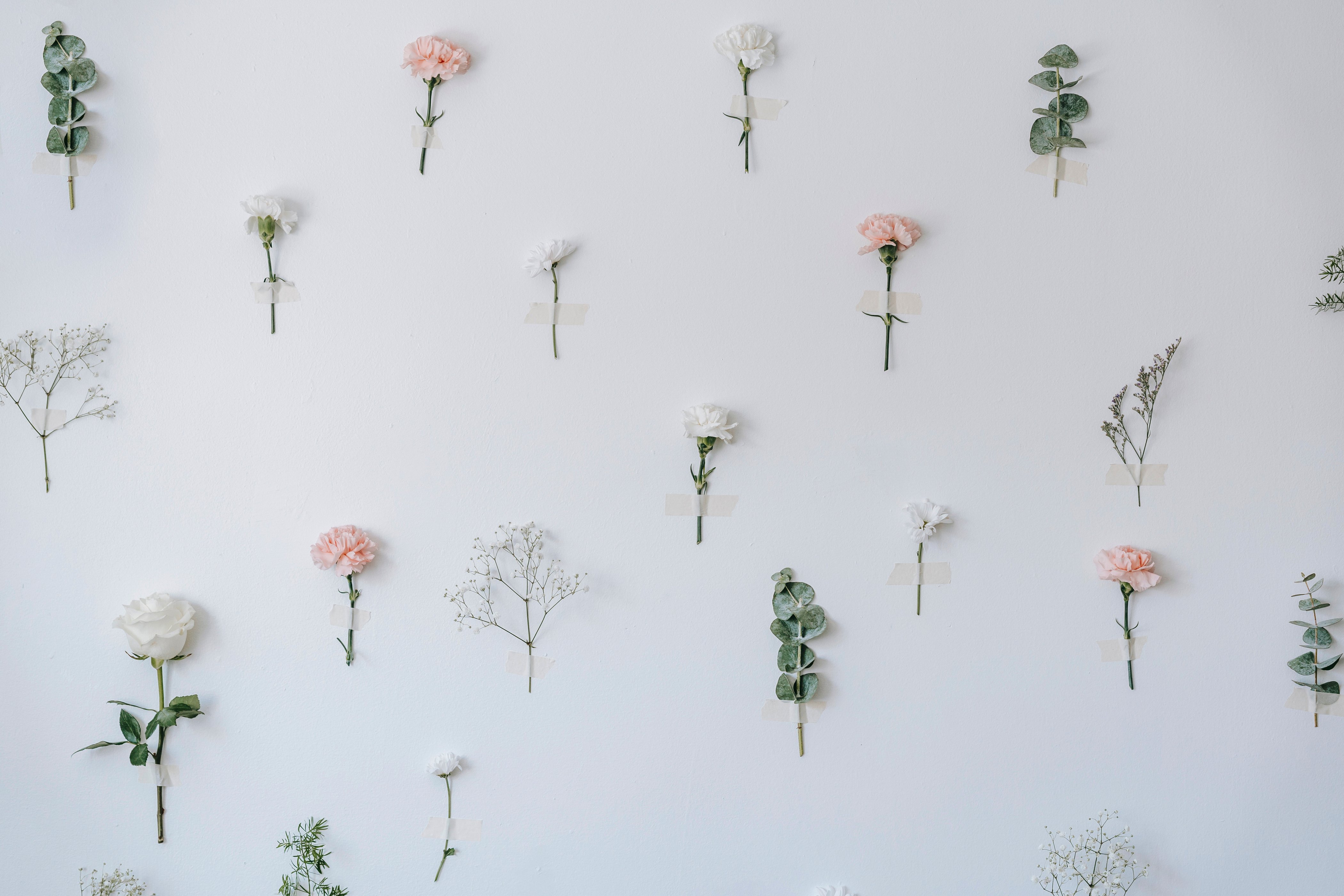 Set of composed gentle flowers on white background